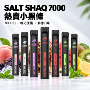 鯊克 SALT SHAQ 小黑條 拋棄式電子煙｜7000口 500mAh 1.0Ω霧化芯｜19種口味